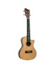 Condorwood UC-2440C concert ukulele